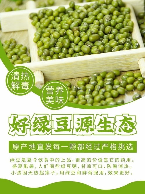 简约绿豆促销海报